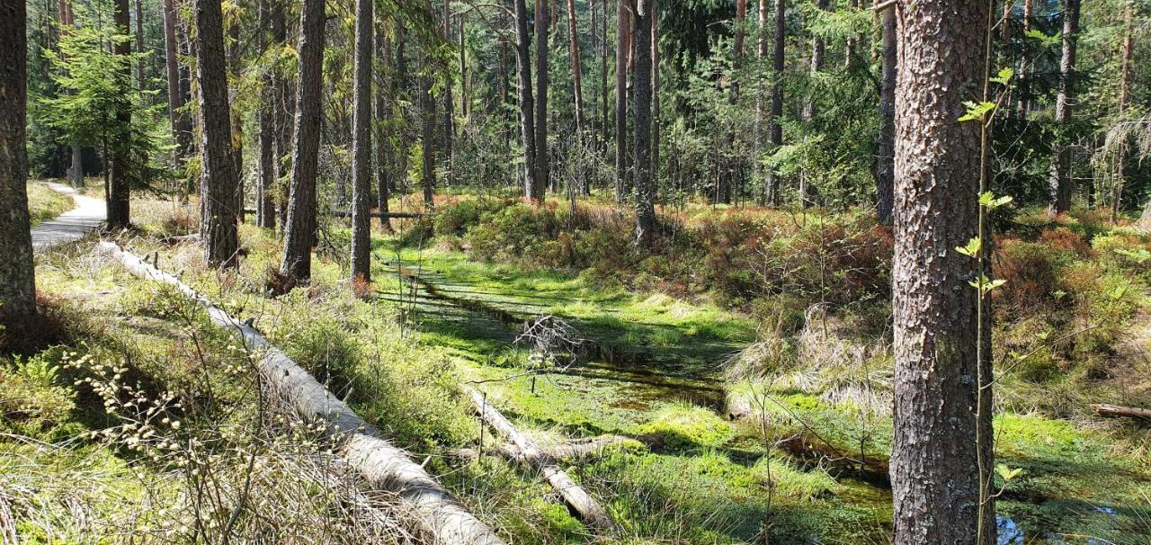 Eco Domek Z Duzym Ogrodem I Widokiem Murzasichle Dış mekan fotoğraf