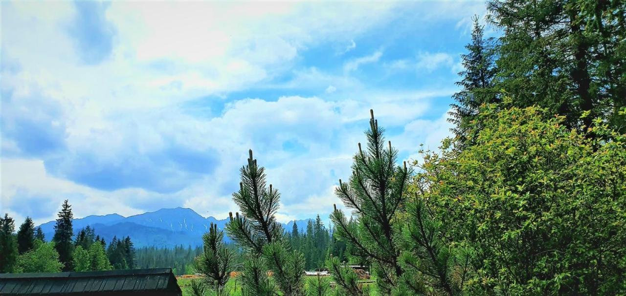 Eco Domek Z Duzym Ogrodem I Widokiem Murzasichle Dış mekan fotoğraf