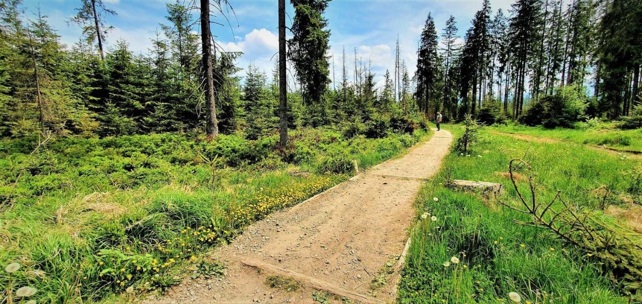Eco Domek Z Duzym Ogrodem I Widokiem Murzasichle Dış mekan fotoğraf