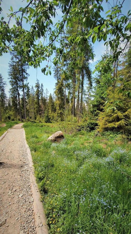 Eco Domek Z Duzym Ogrodem I Widokiem Murzasichle Dış mekan fotoğraf