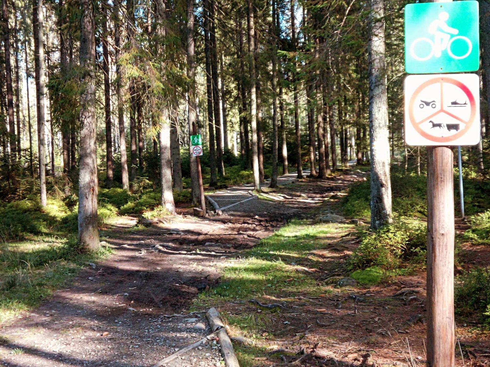 Eco Domek Z Duzym Ogrodem I Widokiem Murzasichle Dış mekan fotoğraf