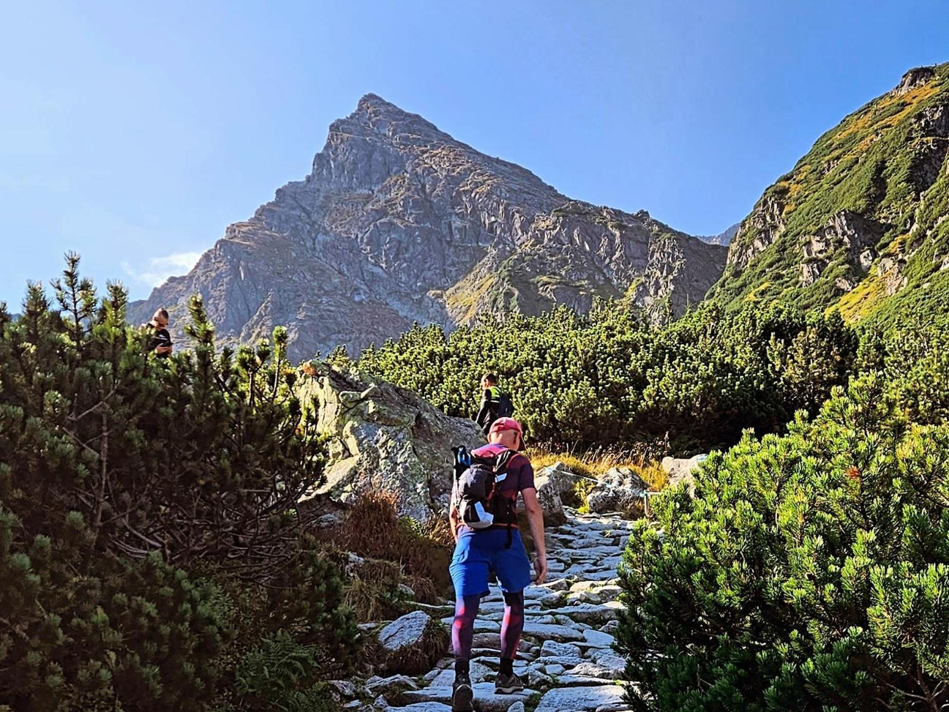 Eco Domek Z Duzym Ogrodem I Widokiem Murzasichle Dış mekan fotoğraf